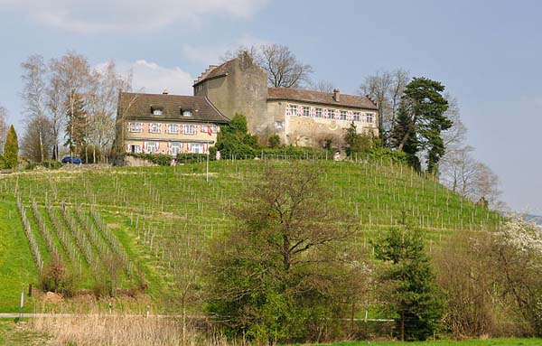 Schloss Schwandegg, Waltalingen